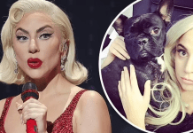Lady Gaga shënon një tjetër fitore ligjore – nuk do të paguajë dëmshpërblimin prej 500 mijë eurosh për gjetjen e qenve të saj