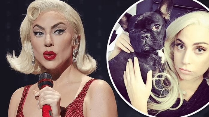 Screenshot_1-11-1130x635