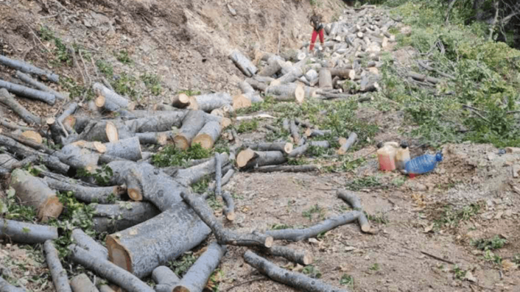 dru-karadak-shkup-1130x635