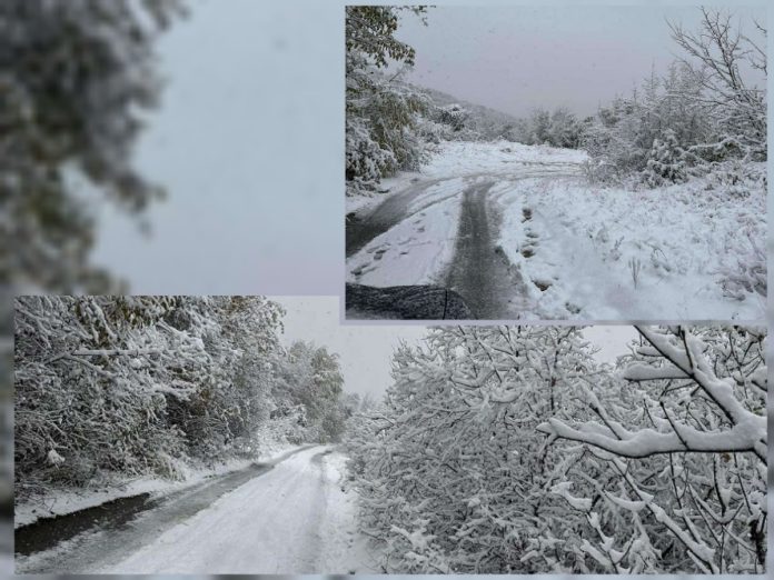 PhotoEditor_2023112513857511