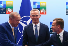 Aleatët e NATO-s i bëjnë trysni Turqisë ta aprovojë anëtarësimin e Suedisë