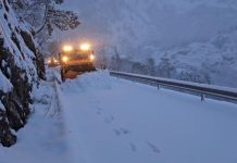 Reshje shiu dhe bore përfshijnë të gjithë territorin e Shqipërisë