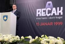 Hovenier: Askush të mos e mohojë çfarë ka ndodhur në Reçak