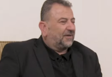 Vritet numri dy i Hamasit