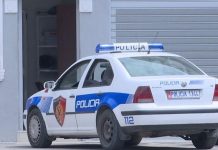 Operacion antidrogë në Shqipëri, arrestohen mbi 200 persona