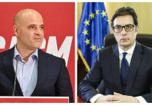 Pendarovski në Davos, Kovaçevski në Vjenë: Krerët e shtetit në takime pune