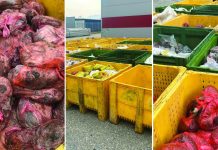 Dogana e RMV-së sekuestron 4,4 tonë mish që është i rrezikshëm për qytetarët