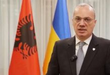 Ministri i Jashtëm i Shqipërisë: Qëndrojmë përkrah Ukrainës, do ta mbështesim në gjitha mënyrat