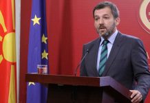 Despotovski: Investimi gjerman nuk është i asnjë partie, por i të gjithë qytetarëve të Maqedonisë