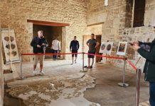 Mbi 60 mijë vizitorë në parqet arkeologjike të Shqipërisë në 4-mujorin e parë të 2024