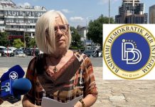 VLEN-i akuzon BDI-në “se fshiu shqiptarë gjatë Regjistrimit të fundit të popullsisë”