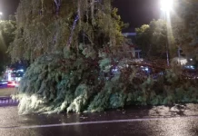 Raportime për bodrume të vërshuara, dru të rënë, automobilë të dëmtuar pas motit të ligë në rajonin e Shkupit dhe Tetovës