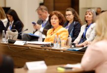 Mediat greke: Siljanovska përsëri provokon