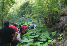 Tragjedi në Maqedoni! Një alpinist vdiq pasi ra nga humnera