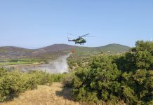 Zjarrfikësit vazhdojnë betejën me 11 zjarre aktive