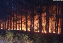 Luftimi i zjarreve me mungesë stafi e automjete të vjetra