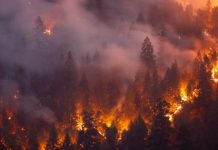 Verë e thatë në Maqedoni, frikë nga përhapja e zjarreve