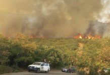 Komunikacioni në Maqedoni, mbyllet rruga Negotinë – Shtip për shkak të zjarrit në Serta