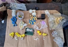 Mbi 140 pako me drogë të ndryshme dhe 9 mijë euro janë gjetur gjatë kontrollit në shtëpinë e një gruaje 54-vjeçare nga Shkupi