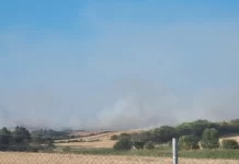 Angellov: Dymbëdhjetë fshatra në vend janë kapluar nga zjarret