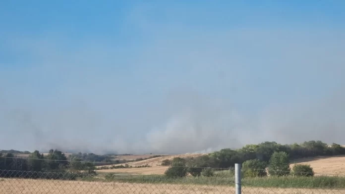 7402FCCE-FE40-4AC9-8F66-AE21DDD43165