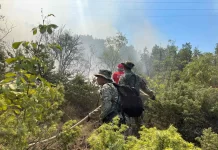 Armata e RMV-së angazhoi 200 anëtarë shtesë për të luftuar zjarret