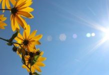 Moti sot në Maqedoninë e Veriut