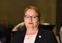 Janevska: Ministria e Arsimit është lënë me minus pesë 5 miliardë denarë