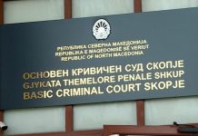 Gjykata Penale njofton: Më 4 shtator fillon gjyqi për vrasjen e Vanjës dhe Pançes