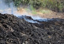 Pas 13 ditëve është shuar tërësisht zjarri afër Sertës