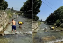 Tetovarët vullnetarisht pastrojnë shtratin e lumit Shkumbin