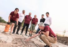 Kurti viziton Ulpianën antike: Kjo pasuri paraqet një potencial të jashtëzakonshëm për zhvillim të turizmit