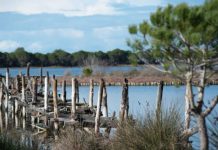 Mbi 2 milionë turistë vizituan zonat e mbrojtura të Shqipërisë nga janari