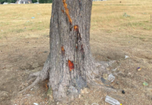 Ky është vendi ku po qëndronte familja që u godit nga rrufeja në Prevallë