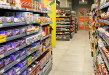 Mbërritja e bizneseve të reja në veri: Provokim, progres, mundësi punësimi…?