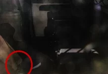 Diddy del në gjykatë për herë të parë që nga arrestimi – brohoritet nga nëna dhe fëmijët