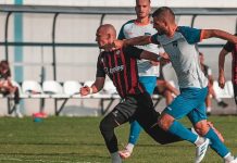 Java e dueleve shqiptare, Shkëndija pret Besën, Voska përballë Shkupit