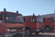 Zjarret në Greqi, Shqipëria i vjen në ndihmë vendit fqinj me efektivë zjarrfikës dhe mjete