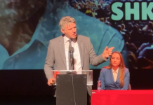 Sela: VMRO-DPMNE erdhi në pushtet me antishqiptarizëm, faktori politik shqiptar në Qeveri nuk bën asgjë