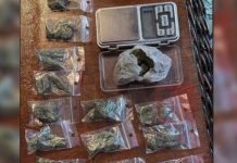 Bastisje në Gazi Babë, arrestohet shpërndarësi