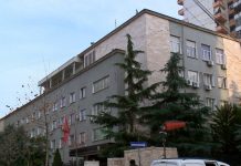 Transferuan 11 milionë euro në Shqipëri nga parajsat fiskale, arrestohen dy persona