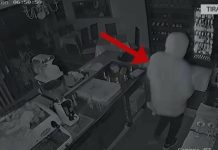 Vodhi 16 biznese, arrestohet 32-vjeçari përdorues i kokainës në Tiranë