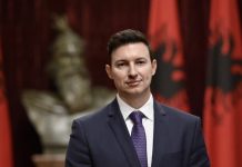 Ambasadori shqiptar, Meidani: “Gjuha shqipe nuk është çështje gjykatash dhe formulime ligjore”