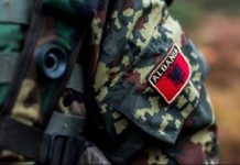 Shqipëria trajnon ushtarët ukrainas në Komandën e NATO-s