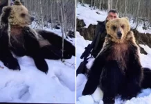 Mickoski paralajmëroi shkarkimin e zëvendësdrejtorit të “Rrugëve të Maqedonisë” nëse konstatohet se ka vrarë ari