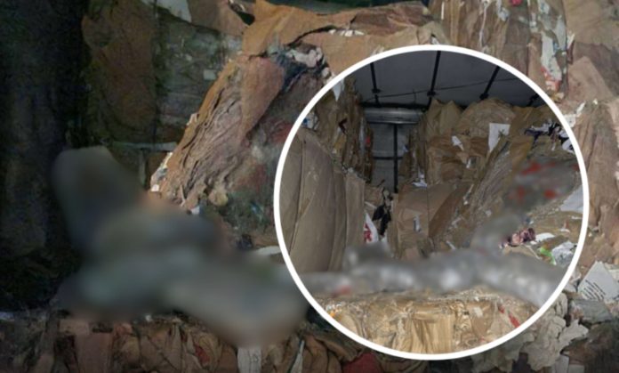 bitkoin-e1739349317273-780x470-1