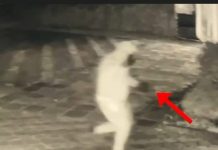 I vuri tritol lokalit në Fushë-Krujë, identifikohet autori