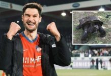 Sulmuesi i Gjermanisë që mban breshkat në frigorifer – Tim Kleindienst zbulon pasionin dhe dashurinë e tij për kafshën e veçantë