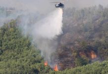 Avioni i parë zjarrfikës hyn në aksion, vijon beteja me flakët në disa zona në Shqipëri