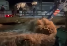 Vërshohen disa shtëpi, magazina dhe objekte industriale në Studeniçan dhe Batincë